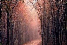 手握球员选项！名记：哈登已重返全明星 他降薪多年值得更大合同.