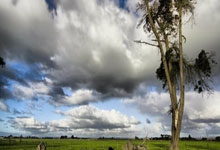 苏迪曼杯分组揭晓 国羽瞄准四连冠.